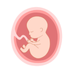 Korelasi Puasa Ramadhan dengan Kesehatan Janin dalam Kandungan!